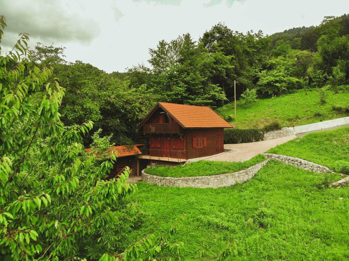 Pluznje Lazec Country Houseヴィラ エクステリア 写真